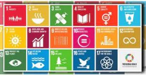 i 17 obbiettivi dell'agenda 2030 per lo sviluppo sostenibile 