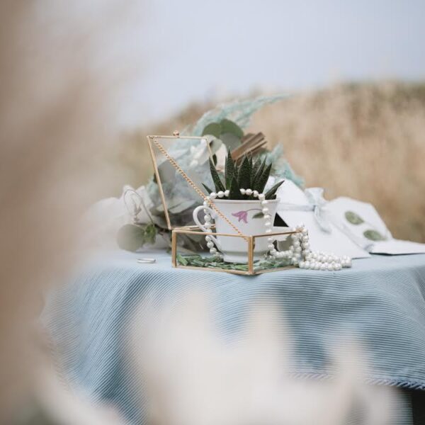 The Bride by Alexis - Wedding Planner 9
